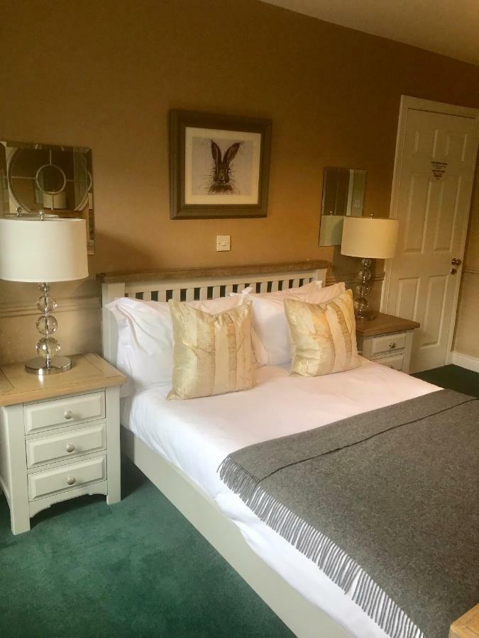 The Lantern Townhouse Bed and Breakfast Dingle Exteriör bild